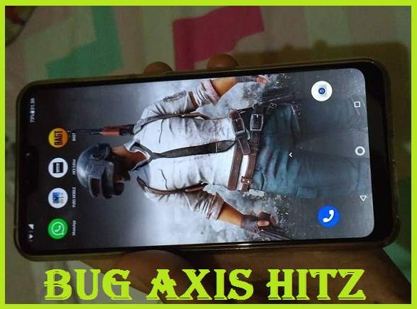 Bug Axis Hitz 2022